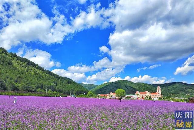 大美庆阳,每一帧都是屏保!