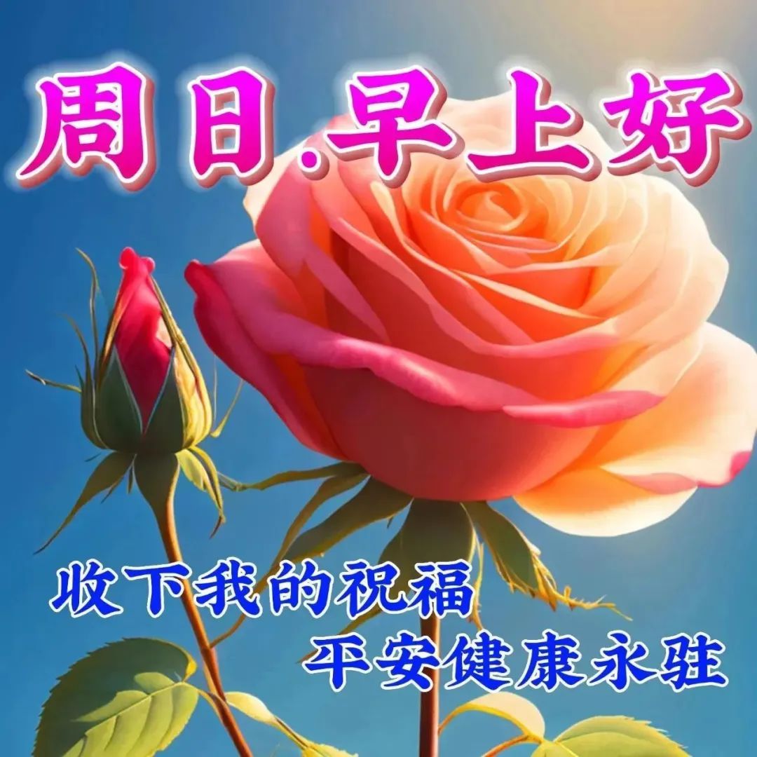 7月30日周日早上好,早安祝福语图片带字