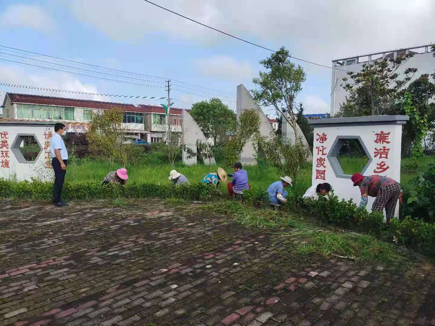 江苏泰州姜堰区白米镇:以人居环境整治擦亮乡村振兴底色