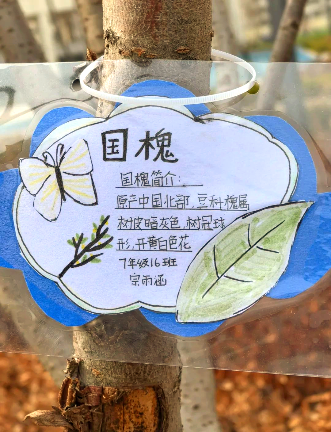 春日里,画笔下的绿色生机勃勃,名牌上的树木仿佛跃然而出