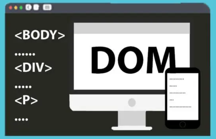 dom属性是什么意思啊