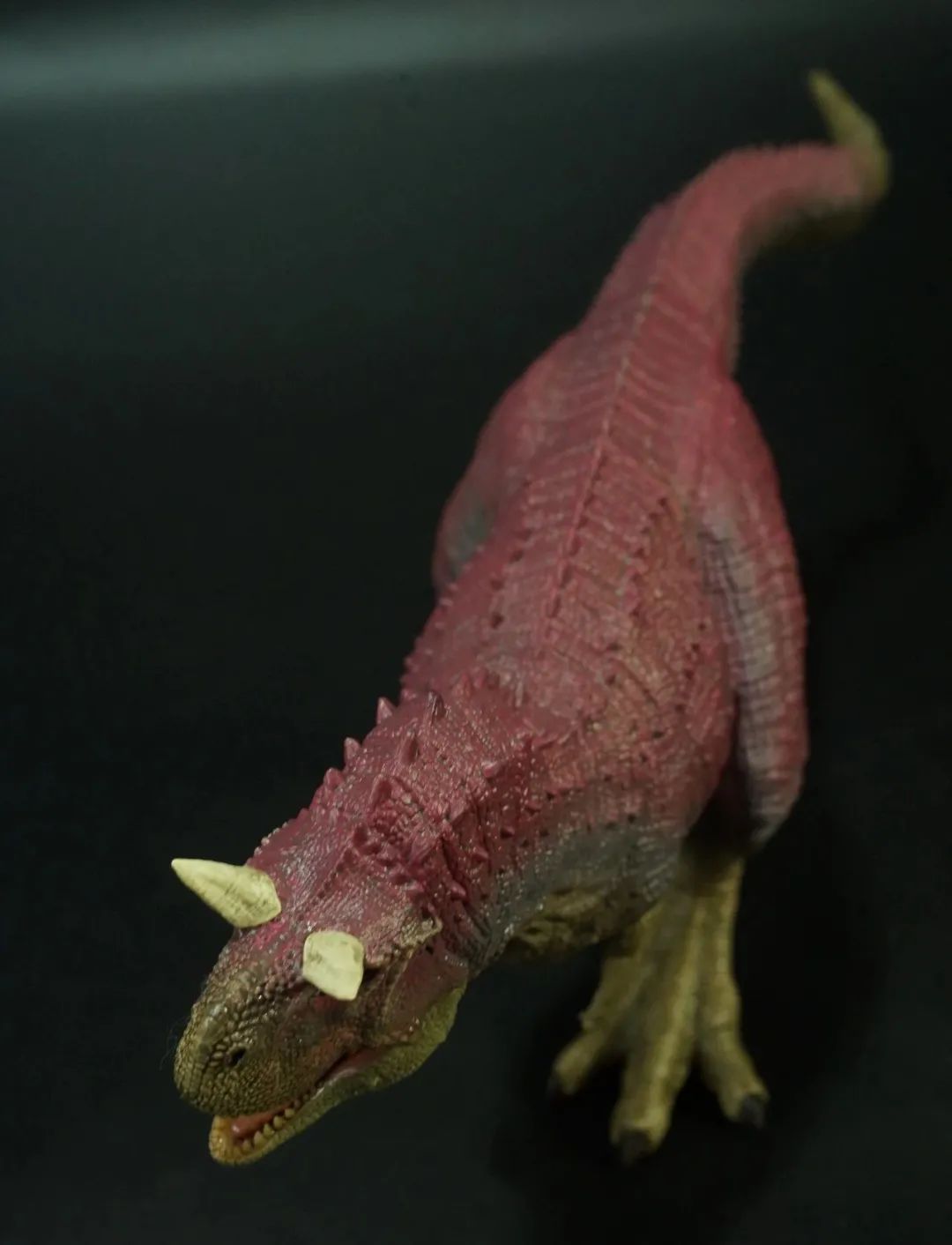 rebor雷克斯牛龙&爆诞龙