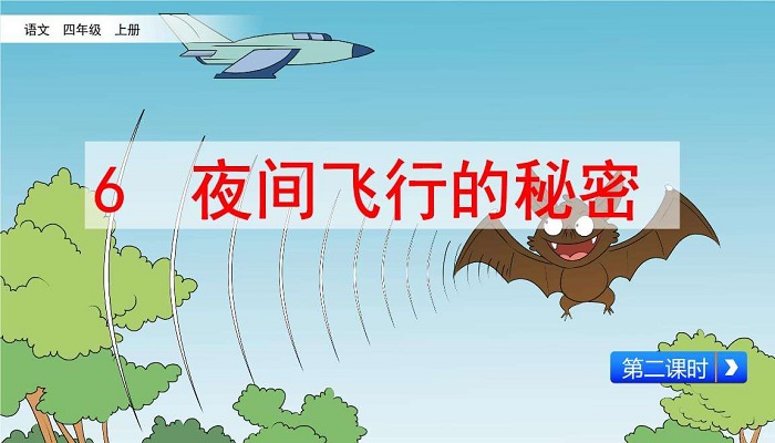 夜间飞行的秘密为什么课文没有具体写后两次实验