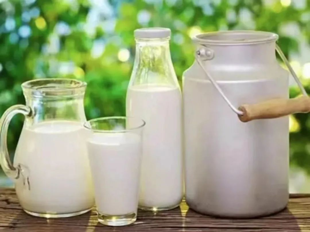 更贵的骆驼奶水牛奶羊奶真的更营养吗