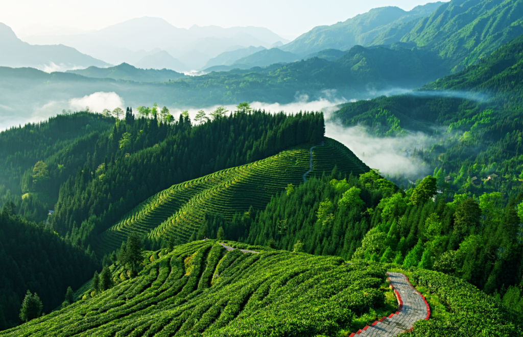 眉山洪雅复兴村,这个小众旅行地,让你感受四川的魅力.