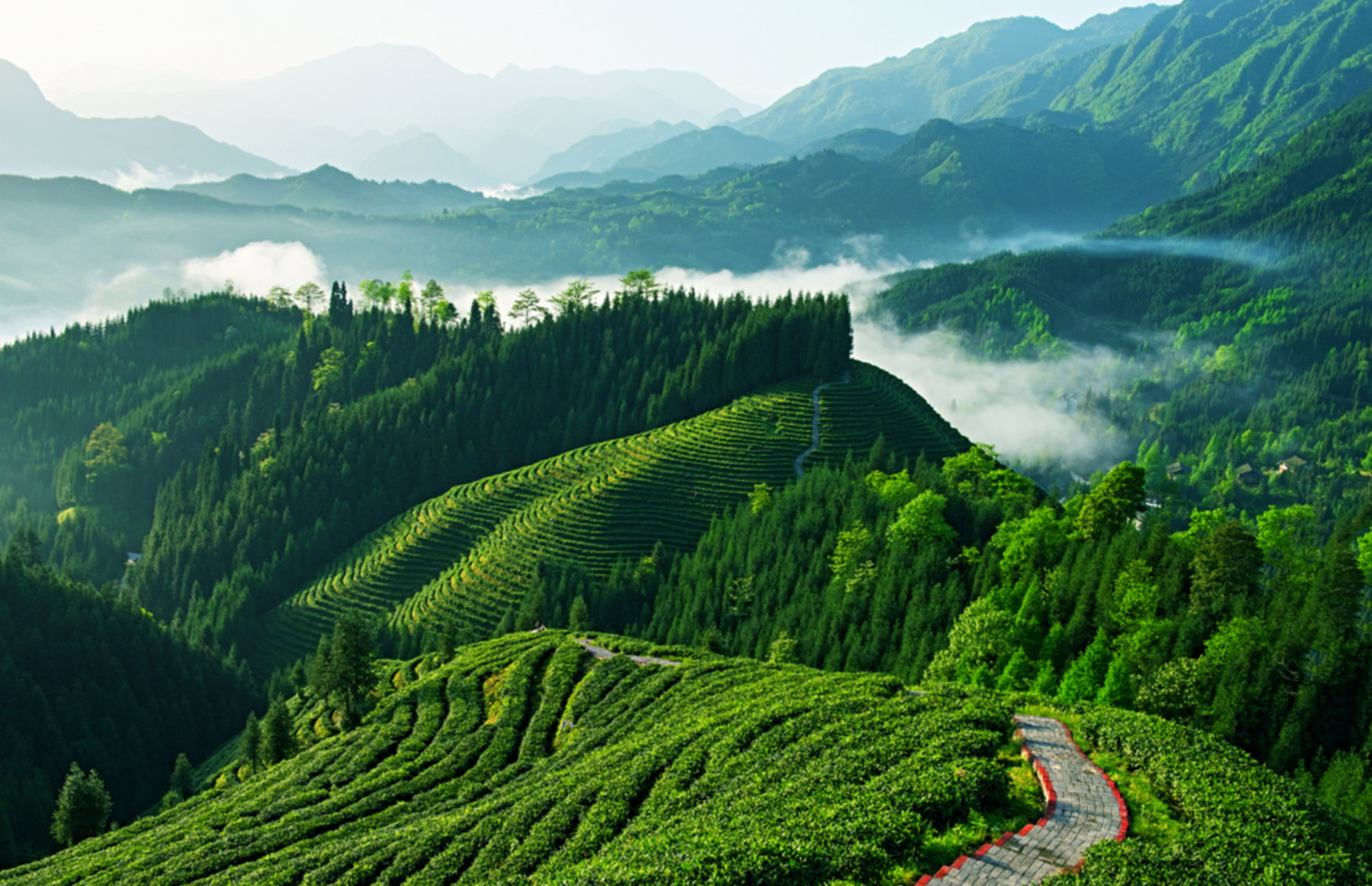 眉山洪雅复兴村,这个小众旅行地,让你感受四川的魅力.