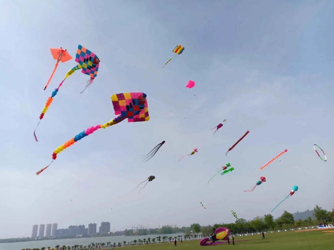 来了!徐州这件事官宣!