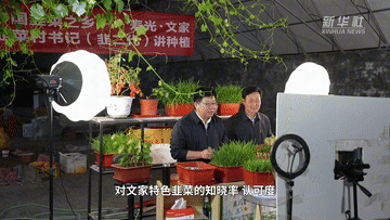 中國經(jīng)濟(jì)樣本觀察·縣域樣本篇|菜籃子里的“壽光力量”:一座縣城的蔬菜產(chǎn)業(yè)化之路-有駕 中國經(jīng)濟(jì)樣本觀察·縣域樣本篇|菜籃子里的“壽光力量”:一座縣城的蔬菜產(chǎn)業(yè)化之路-有駕