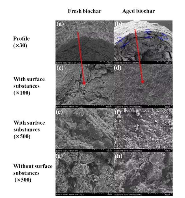 好文推荐 | 浙大朱利中院士:生物炭"土盔甲"助力土壤温室气体减排
