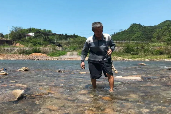 趟浑水还是蹚浑水哪个正确