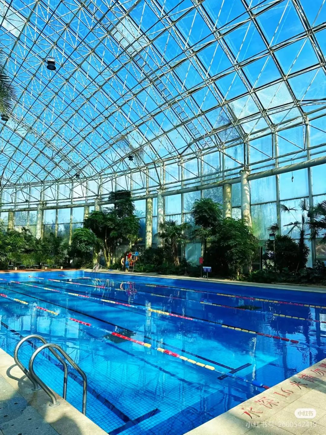 降温冻到抖?临沂这几处温泉一秒暖透