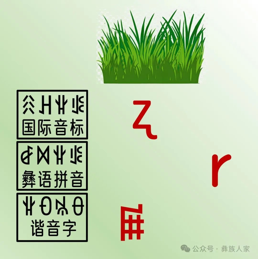 甲瓦木机:学彝语经验分享:快速学习彝语拼音