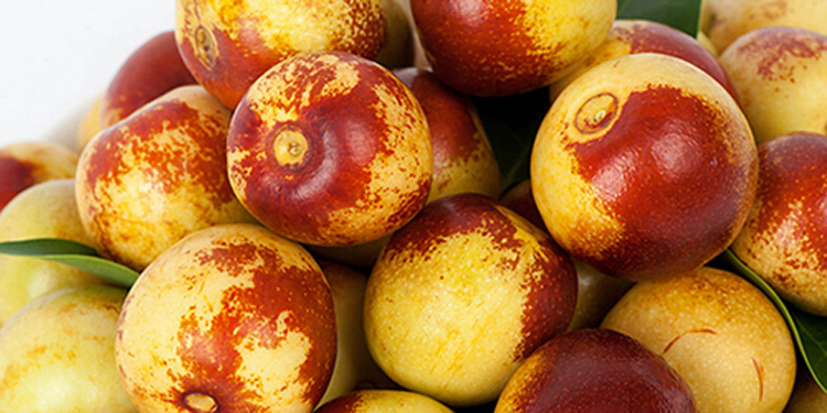 艾嘉仁|冬枣的维生素c比橙子高