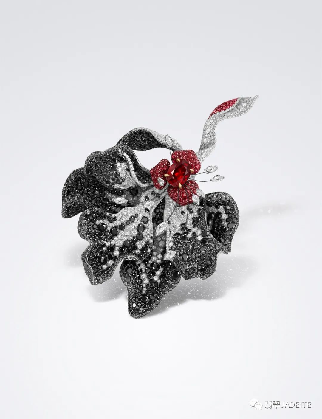 郑莎:以灵动珠宝,彰显柔美力量