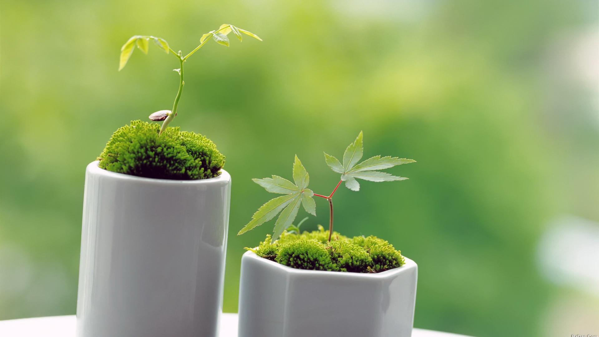 人过45,眼里得卑微来自这些,多数人都忽略