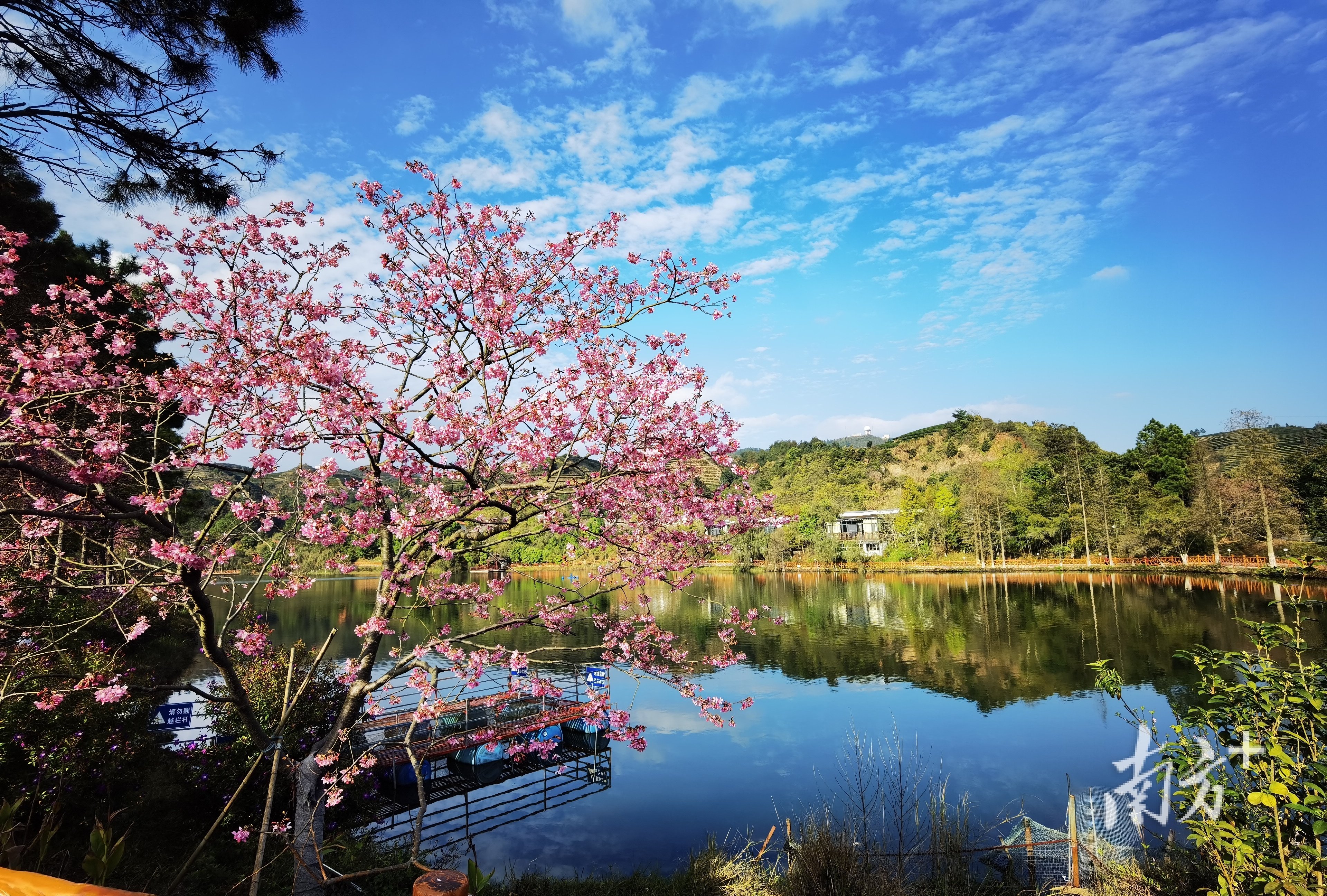 揭陽市大洋國際生態旅遊區晉升國家4a級旅遊景區