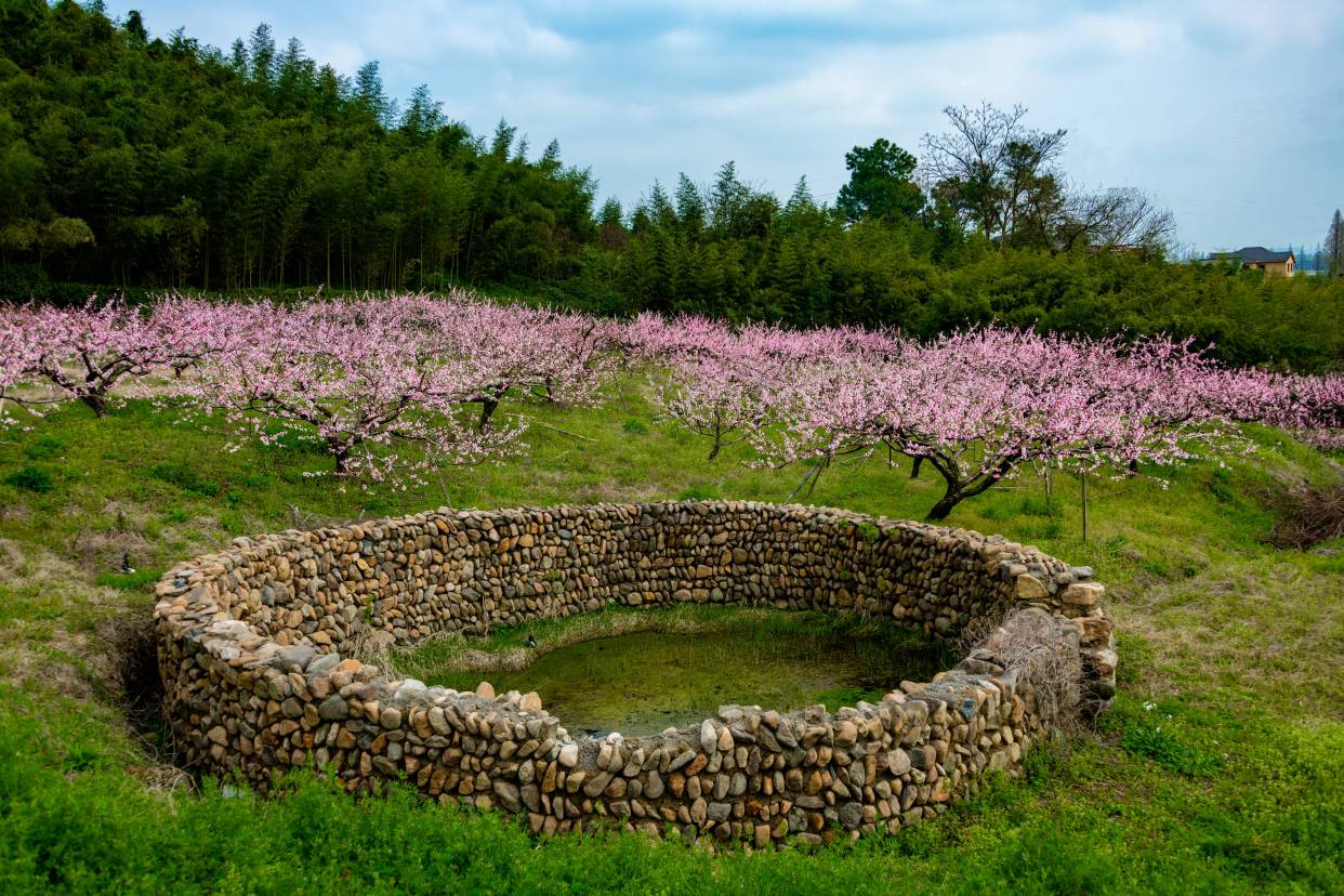 良渚瑶山遗址公园
