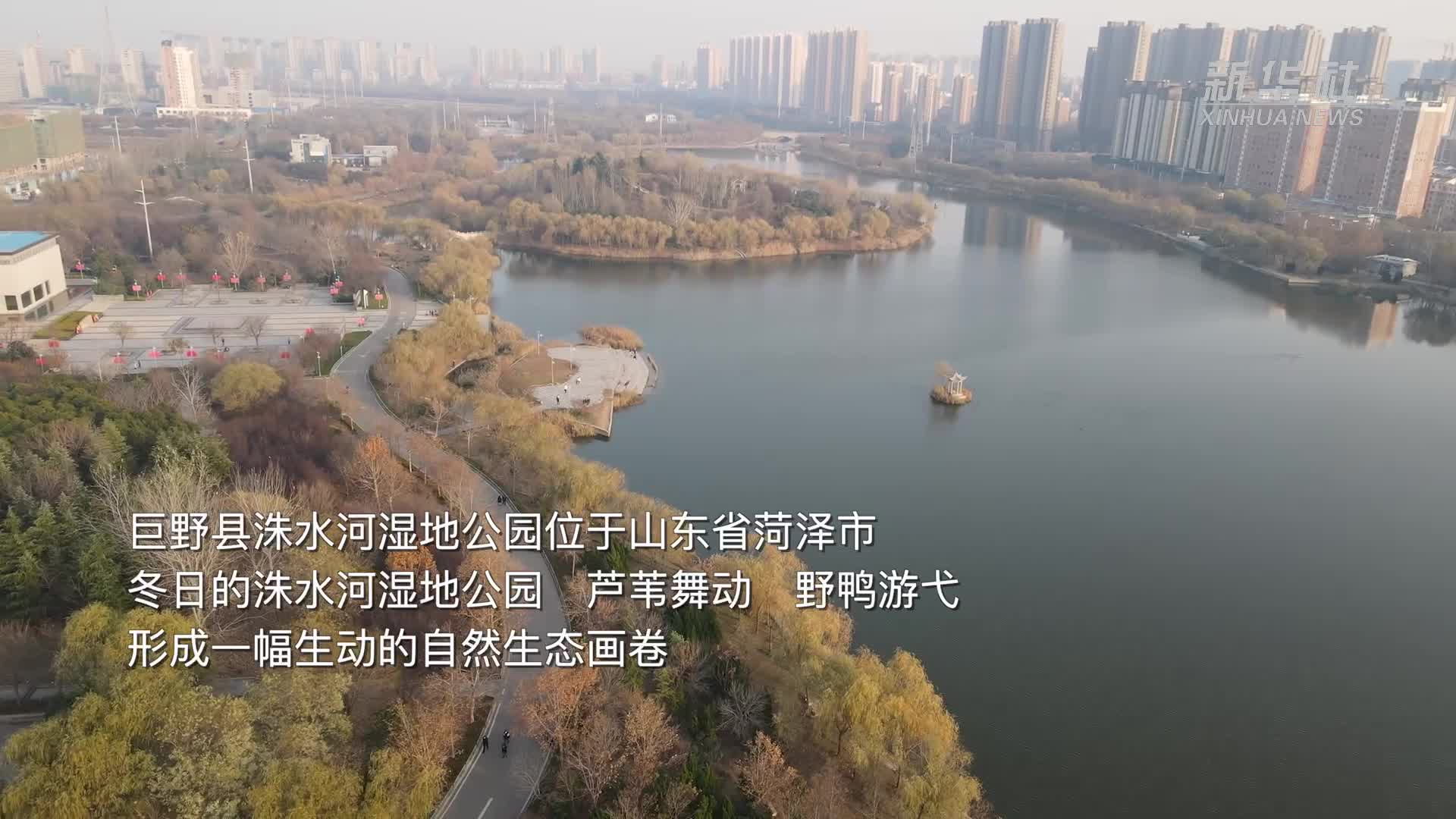 千城胜景丨山东巨野初冬时节洙水河畔生态美