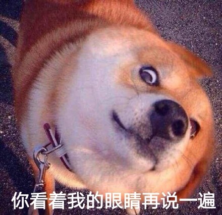 瞪眼doge 表情包「金館長表情包」