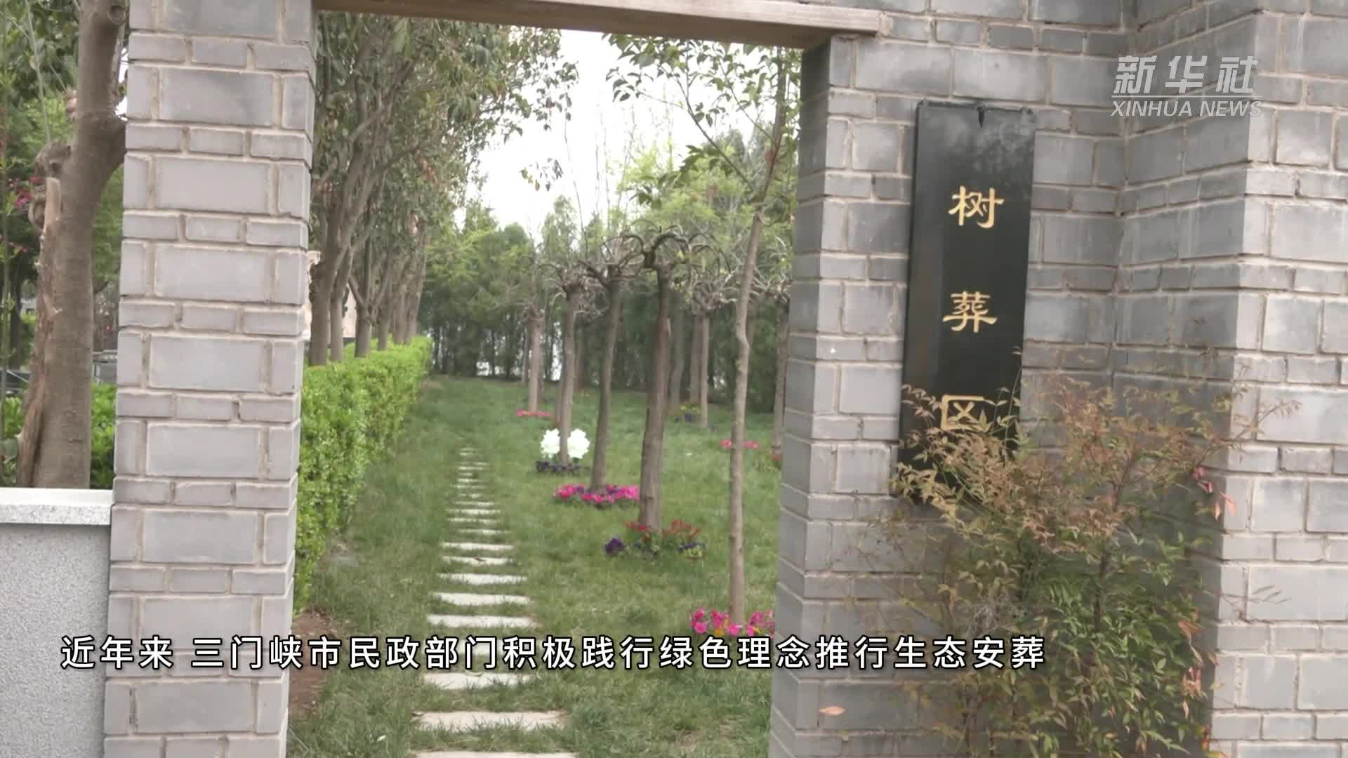 河南三门峡:绿色树葬 倡导文明祭祀新风尚