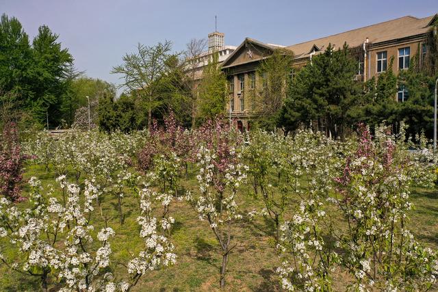 辽宁大学 崇山图片