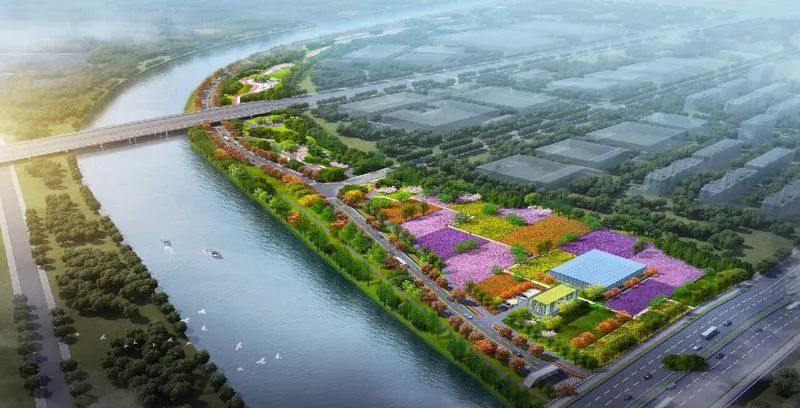 国内首次!10公里花海将进入常州多条城市景观道路