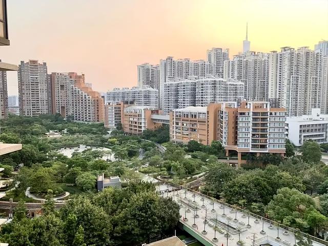 小透明逆袭成网红,越天和凭什么!