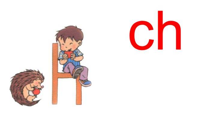 认识声母宝宝zh,ch,sh,r