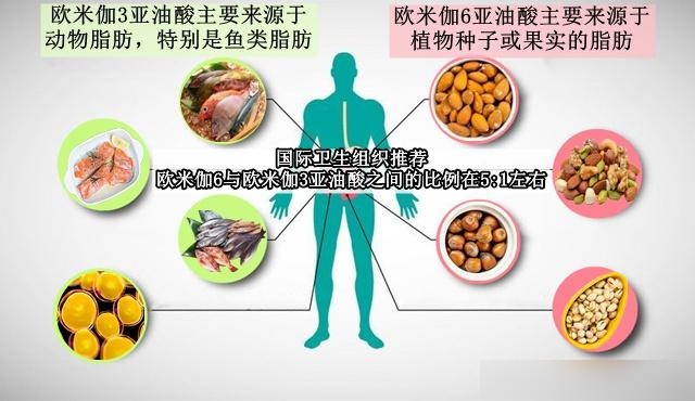 欧米茄6食物图片