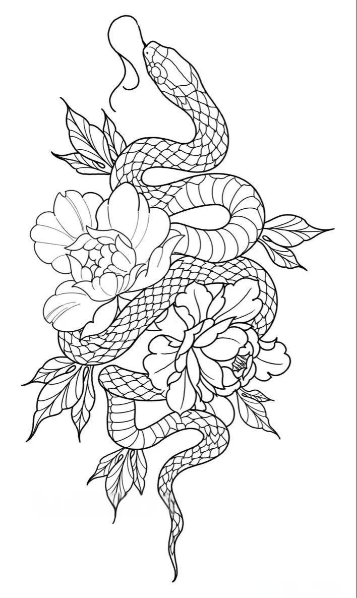 蛇纹素材手稿集:蛇花线条设计集锦