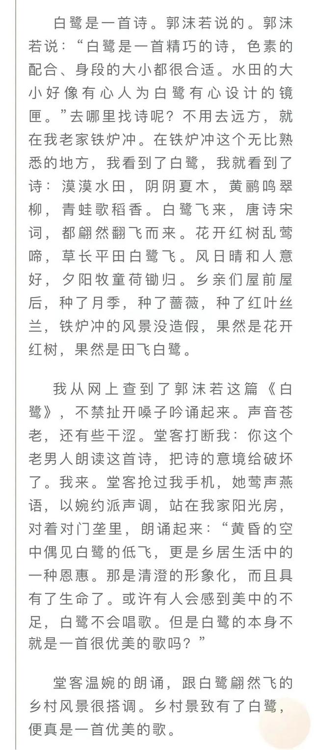 青山碧水新湖南|故园田垄白鹭飞