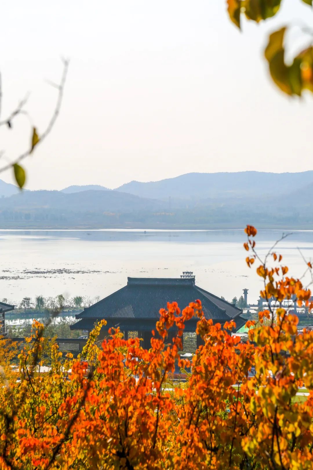 红叶随风起,尼山圣境最后一波秋色,速来打卡!