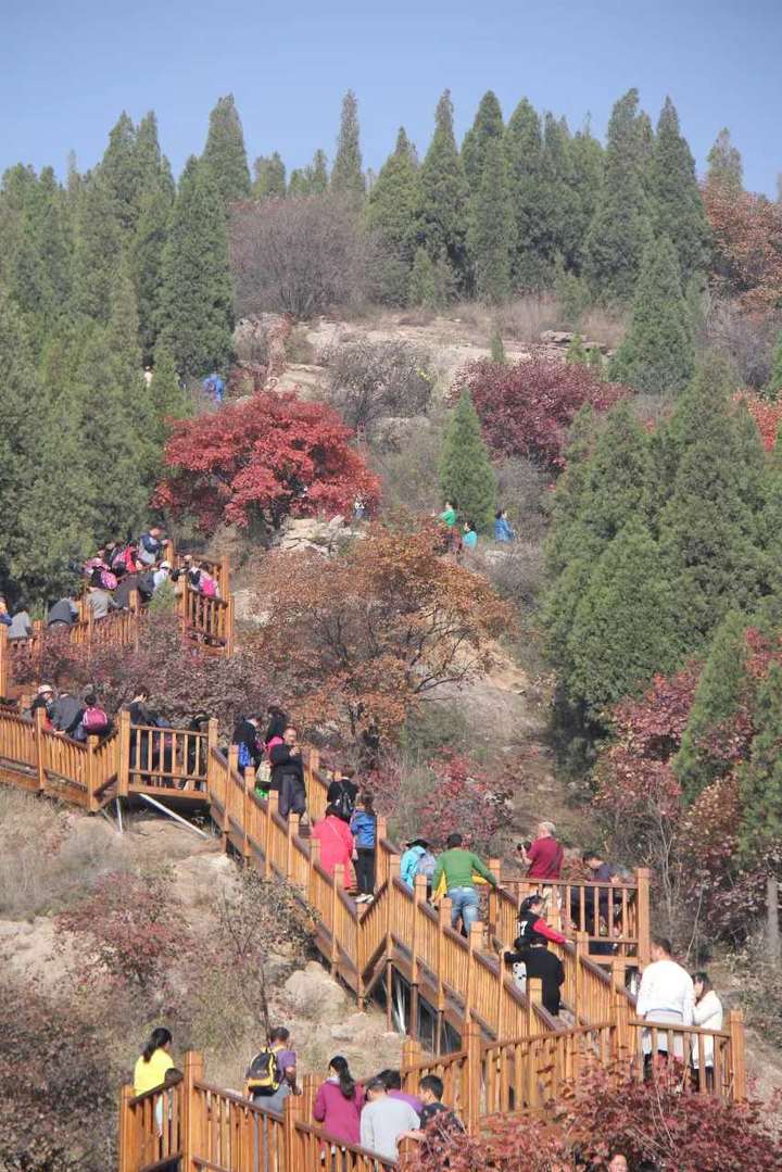 张坤清:秋赏美景——博山九龙峪