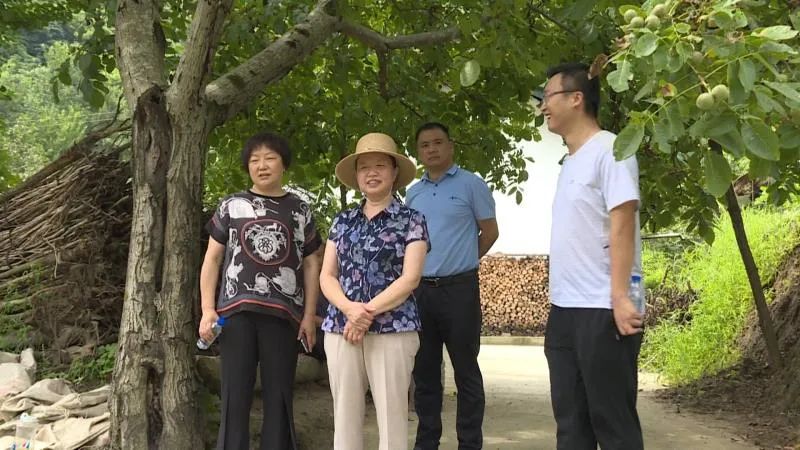 许秋雯调研指导旅游配套设施建设进展情况