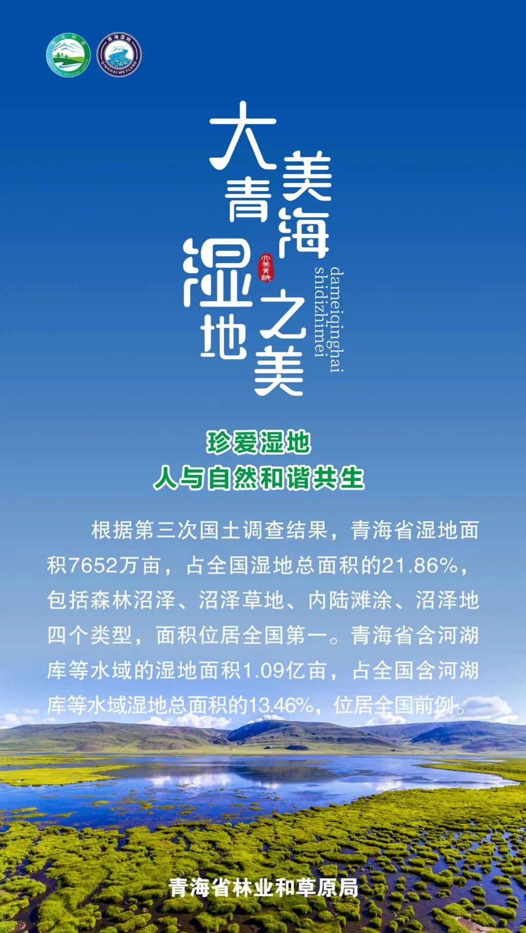 立法保护"地球之肾"守护湿地之美