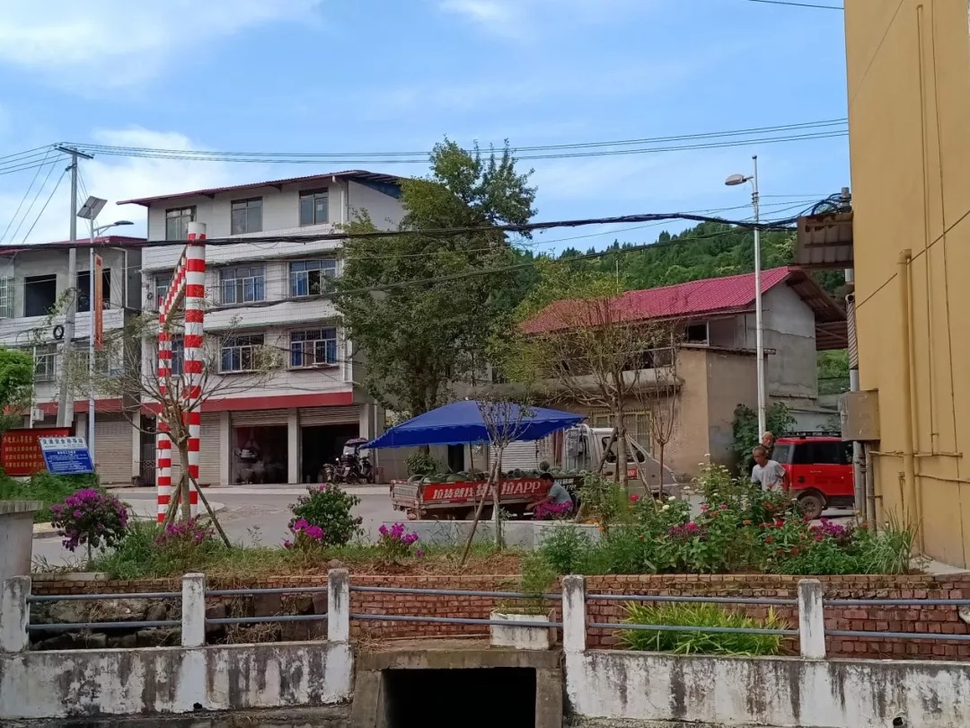 留住绿色乡愁 简阳市禾丰镇微绿地建设工作初见成效