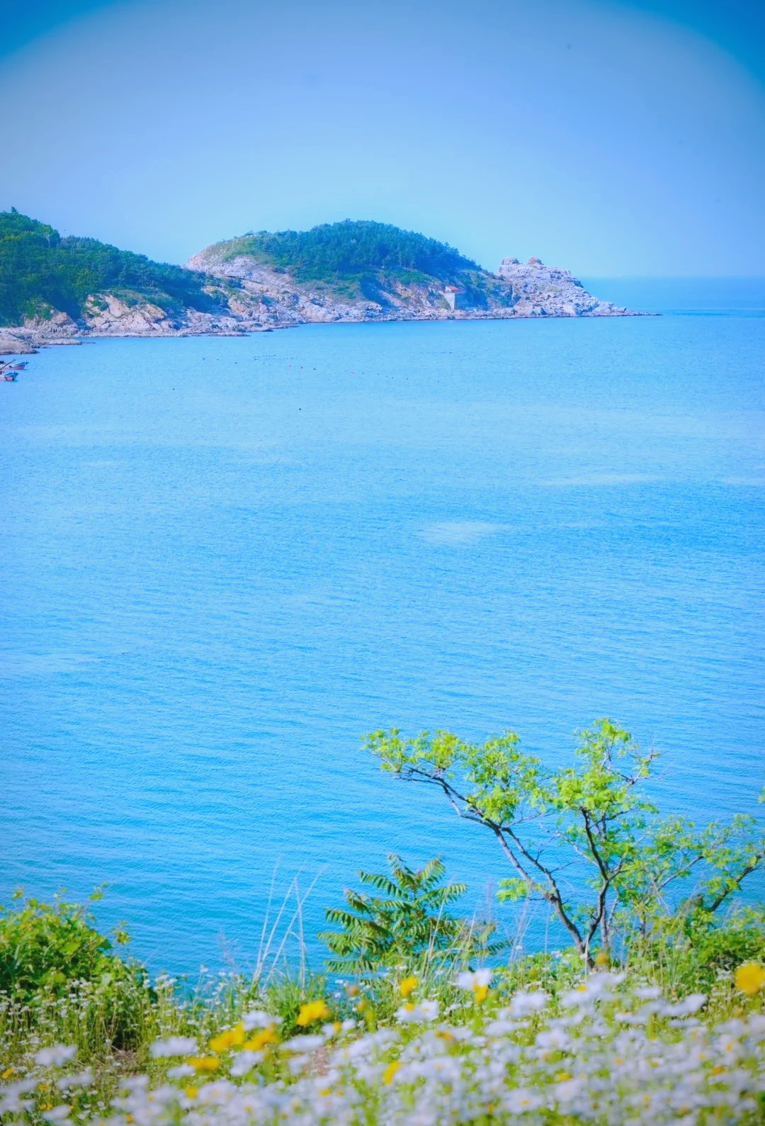 威海旅游攻略:探索多样海岸与自然风光