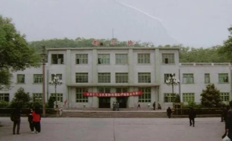 刘云安案 淫乱女子游走在两个男人手拉的钢丝上