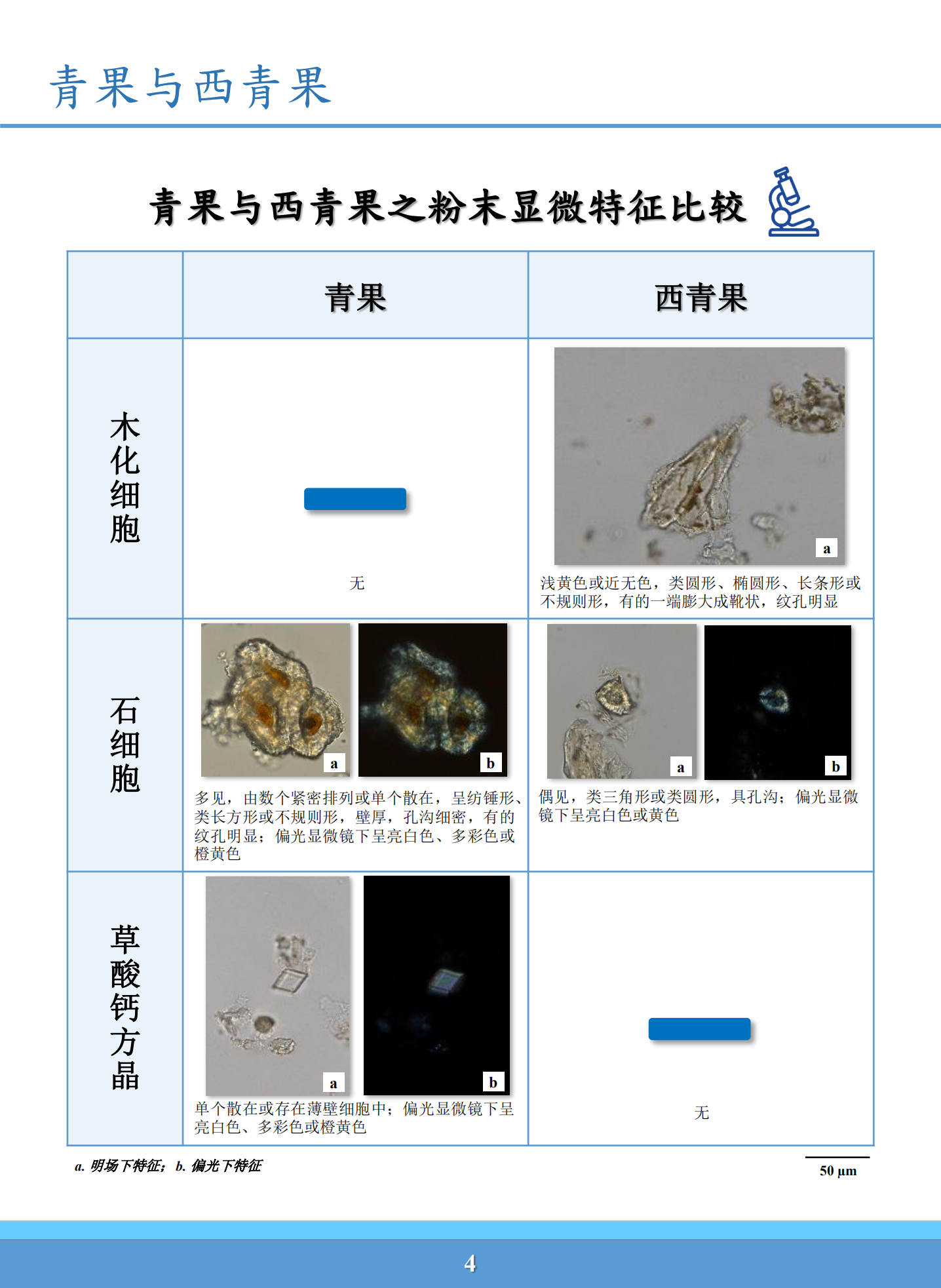 西青果与青果区别图片图片