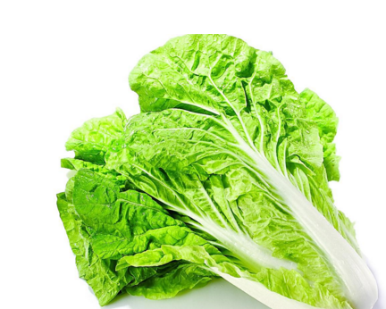 一块钱一斤,中医大师誉为蔬菜中的上品,清肠胃还解毒