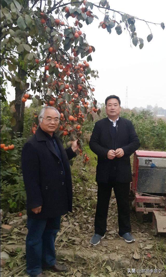 陕西省西安市鄠邑区五竹街道双永村人朱新会先生书法作品欣赏