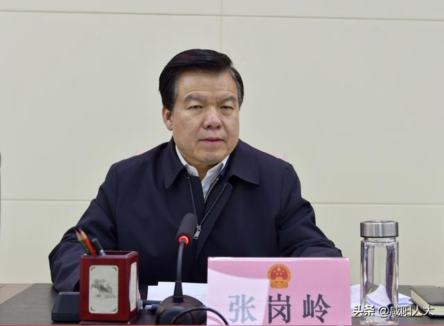 市八届人大常委会召开第三十七次会议 张岗岭主持