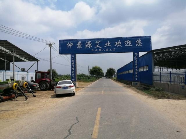 邓州市张村镇:产业扶贫显成效 中药材种植收购助脱贫