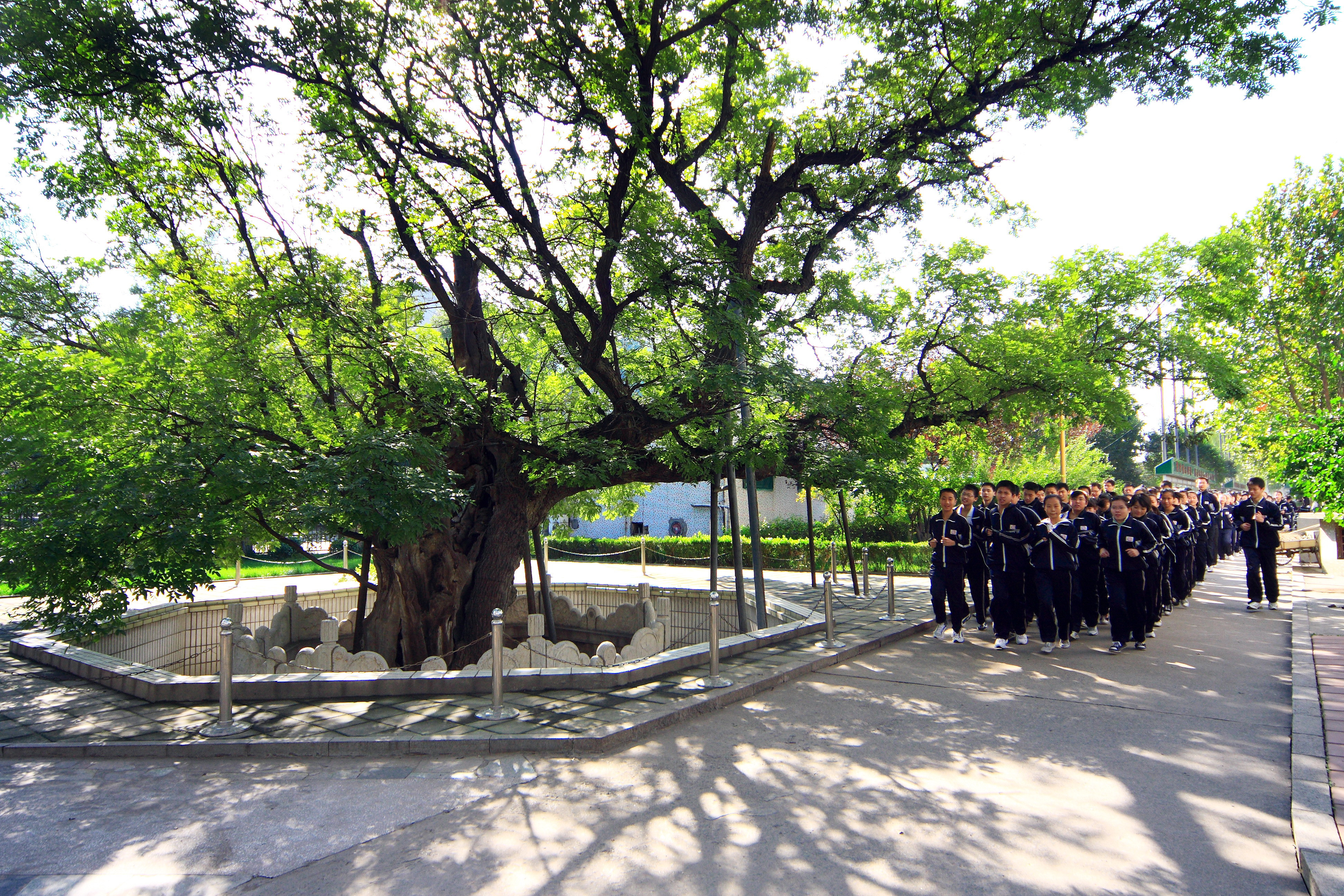 雪宫中学图片