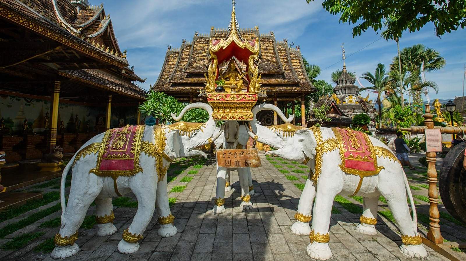 西双版纳必去景点(西双版纳必去景点有哪些)