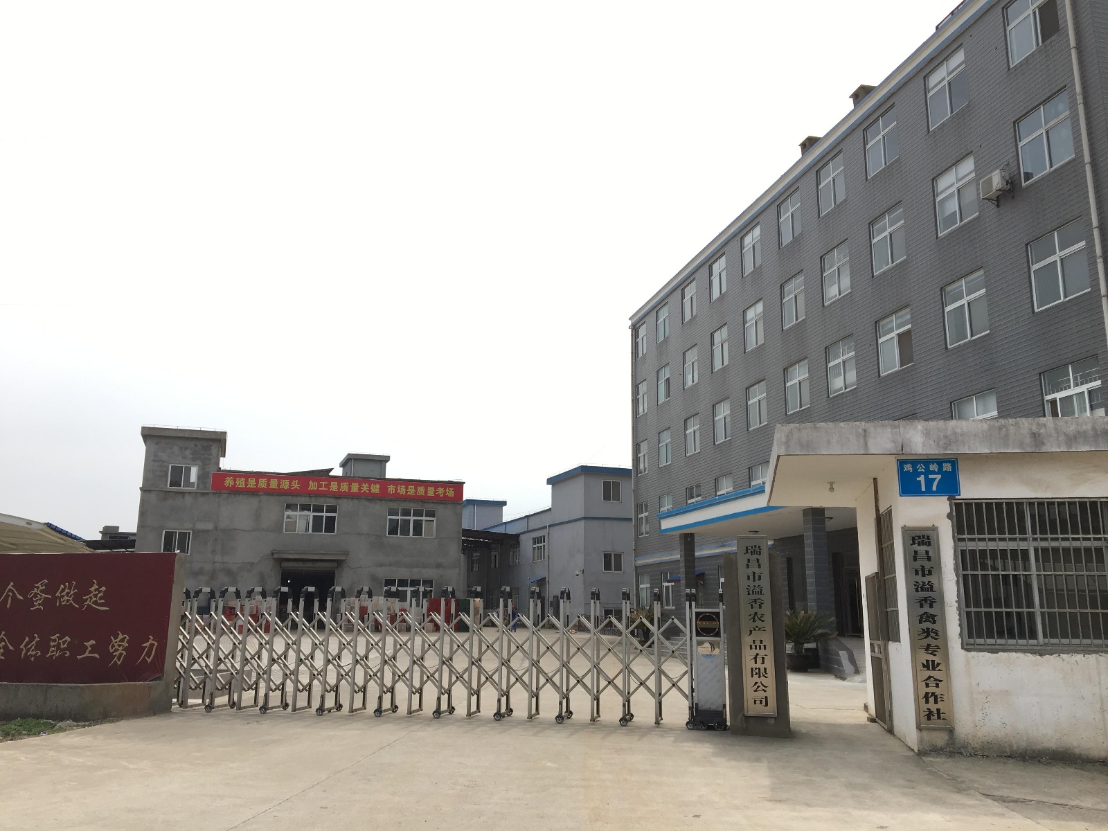 定制办公家具：如何让空间焕发活力