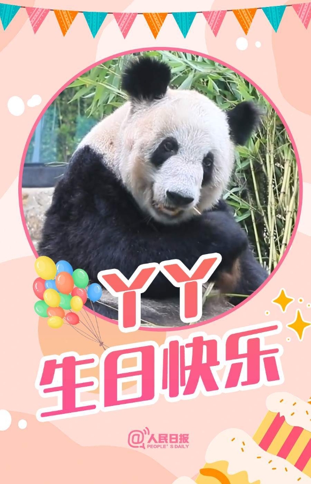 23岁生日快乐!"丫丫"迎来回国后第一个生日