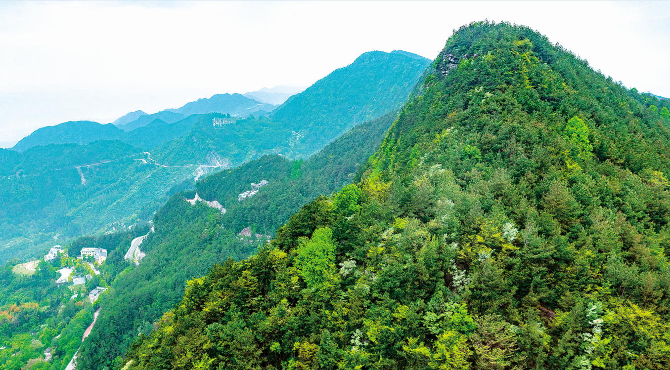 铁峰山国家森林公园开州区域违建整改与生态提升工作纪实
