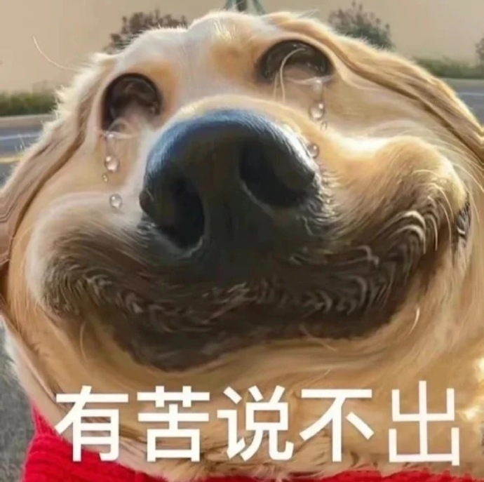 表情包|愿你执迷不悟时,少受点伤,愿你幡然醒悟时,物是人是