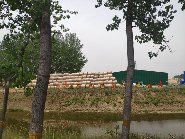 利辛县江集镇:"黄金杆"为乡村振兴添动能